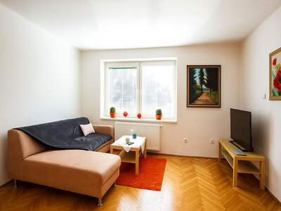 Pronájem plně vybaveného bytu 2+kk (58 m²) –  v lokalitě Havlíčkovy kolonie.
